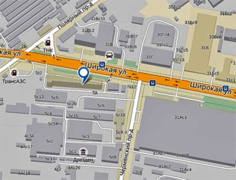 google map