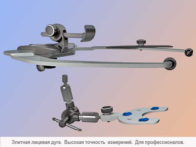 Лицевая дуга